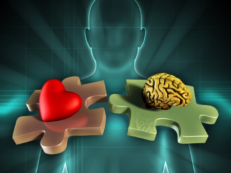 heart and brain